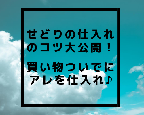 せどりの仕入れのコツ大公開！買い物ついでにアレを仕入れ♪